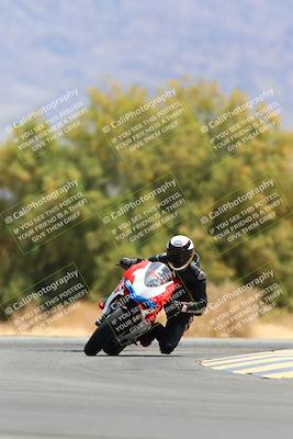 media/May-15-2022-SoCal Trackdays (Sun) [[33a09aef31]]/Turn 7 (1145am)/